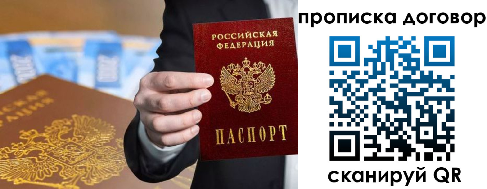 прописка гарантия в Бабаево